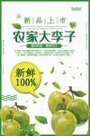 李子