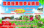 采摘园