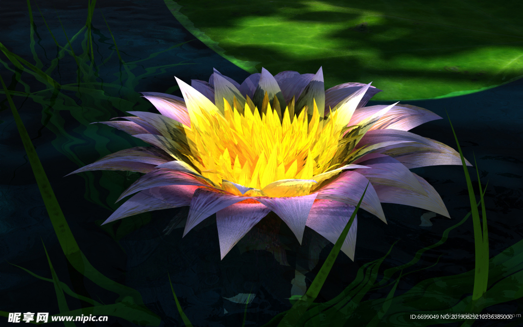 植物花卉