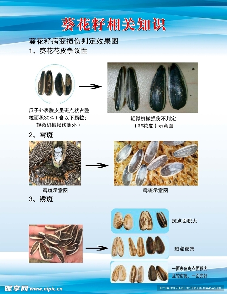 葵花籽检验标准