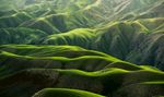 山