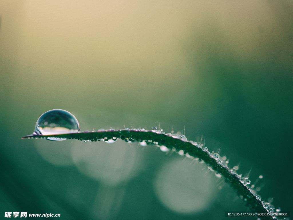 水