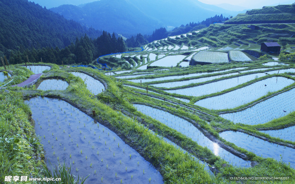 乡村田园田地群山风景