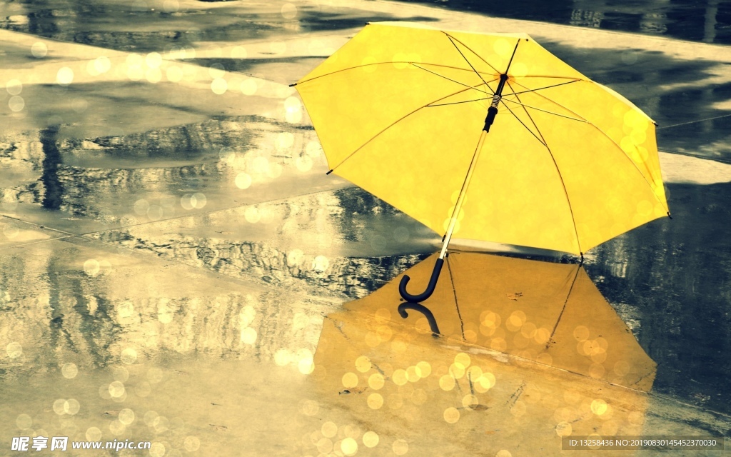 黄色雨伞