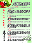春天养生