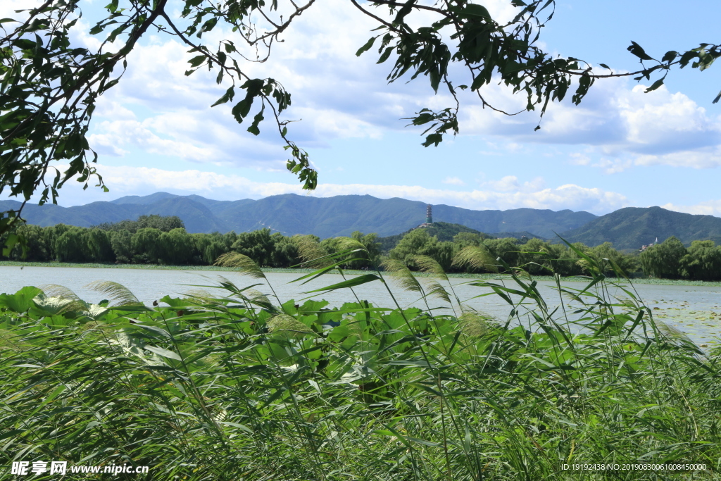 颐和园风景