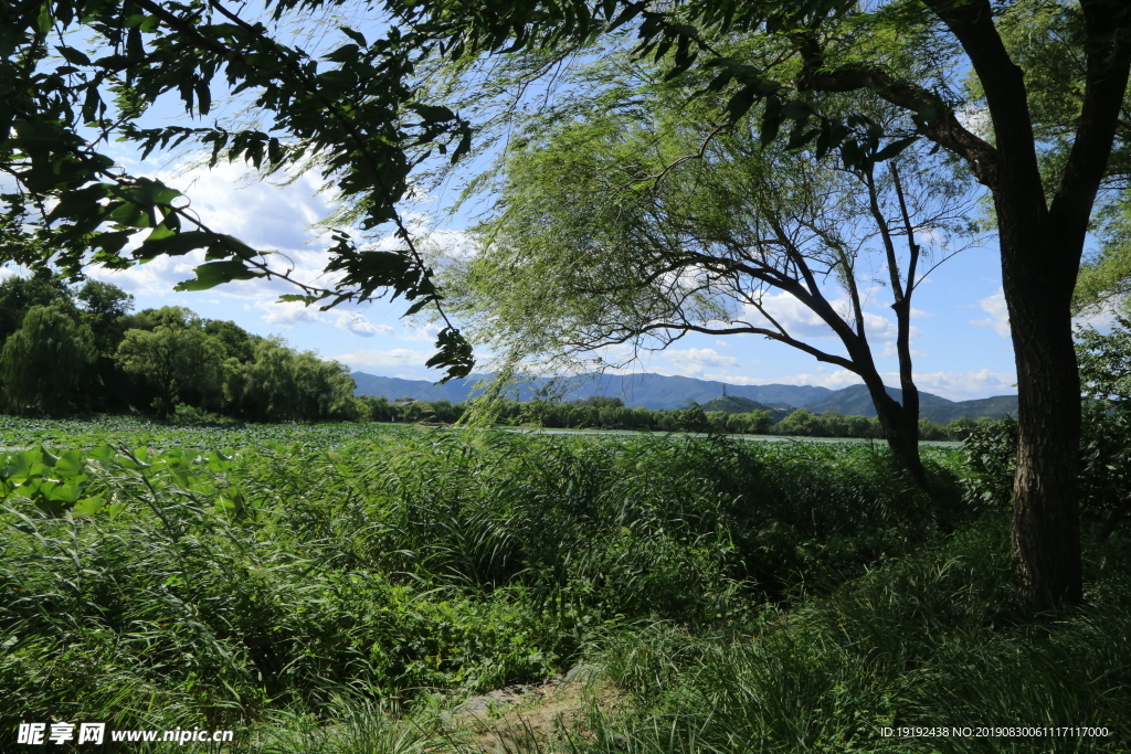 颐和园风景