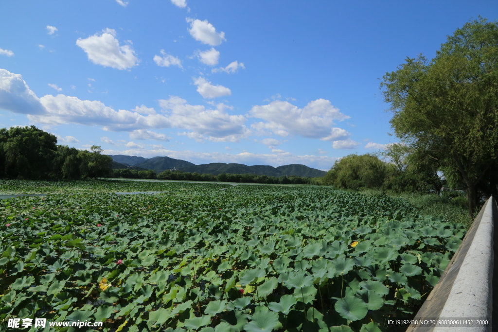 颐和园风景