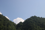 青山