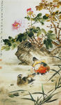 牡丹鸳鸯