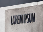 logo贴图样机 logo