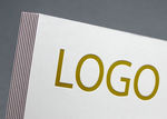 logo贴图样机 logo
