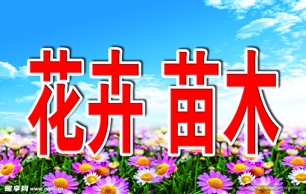 花卉    苗木