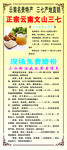 中药三七