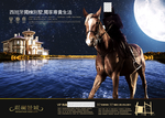 高档房地产海报