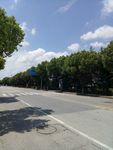 马路风景