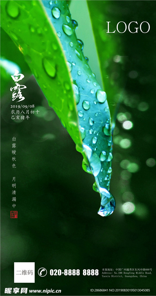 白露