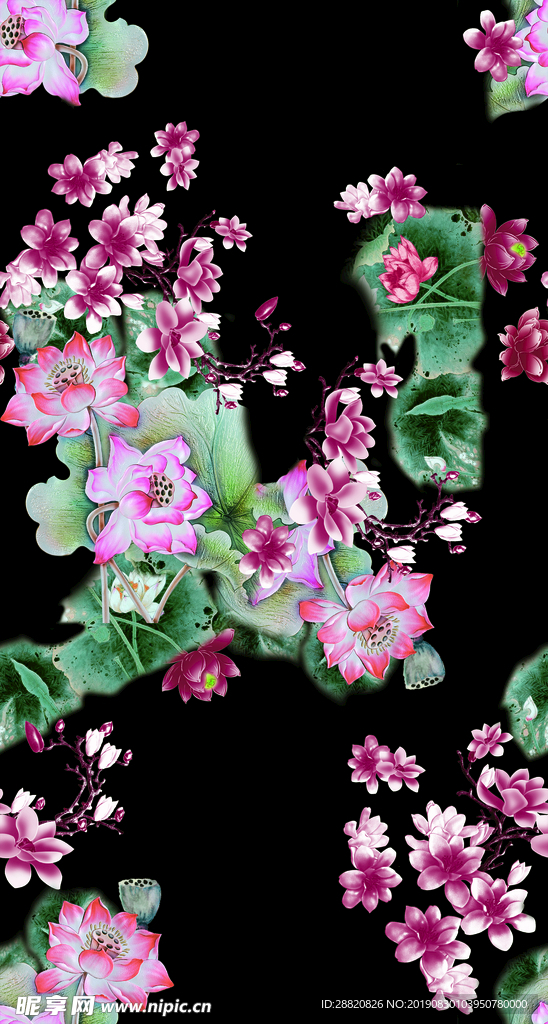 荷花