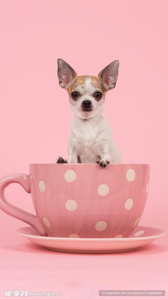粉红咖啡杯
