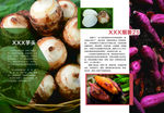 地瓜芋头宣传页农产品手册