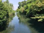 西湖风景