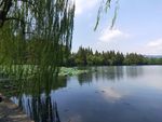 蓝天白云