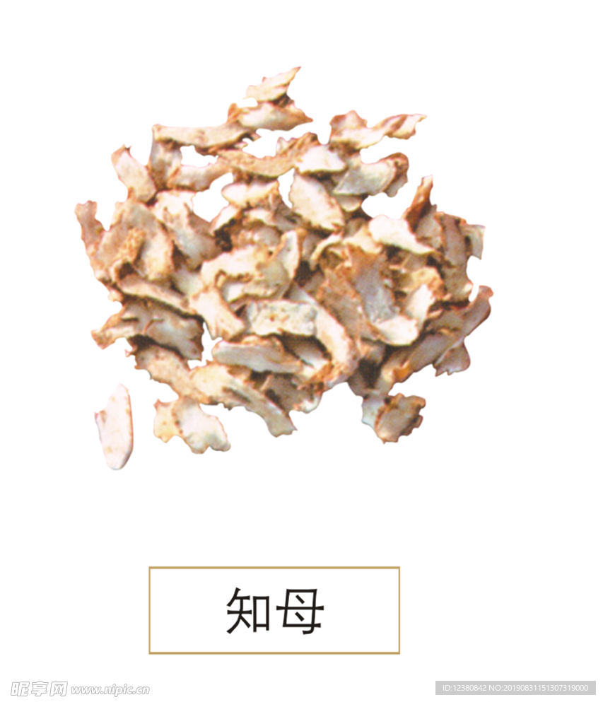 知母