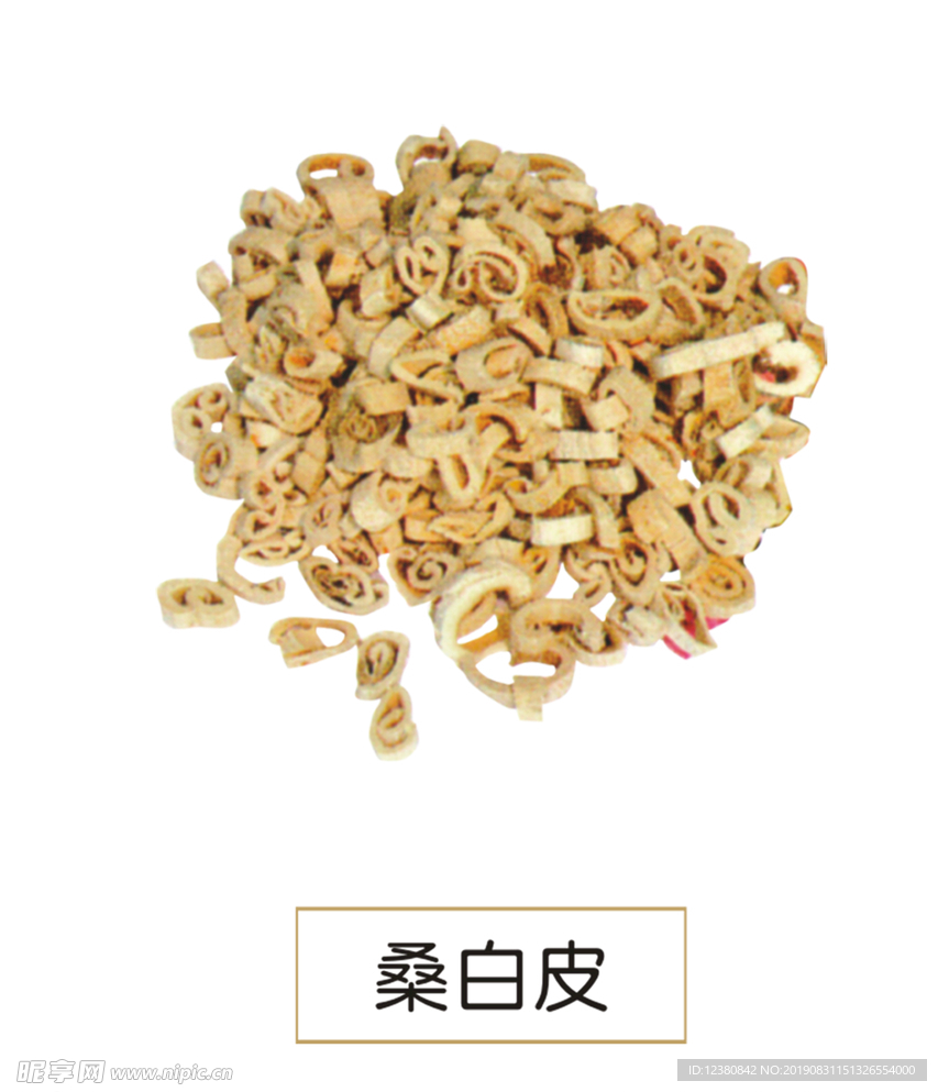 桑白皮
