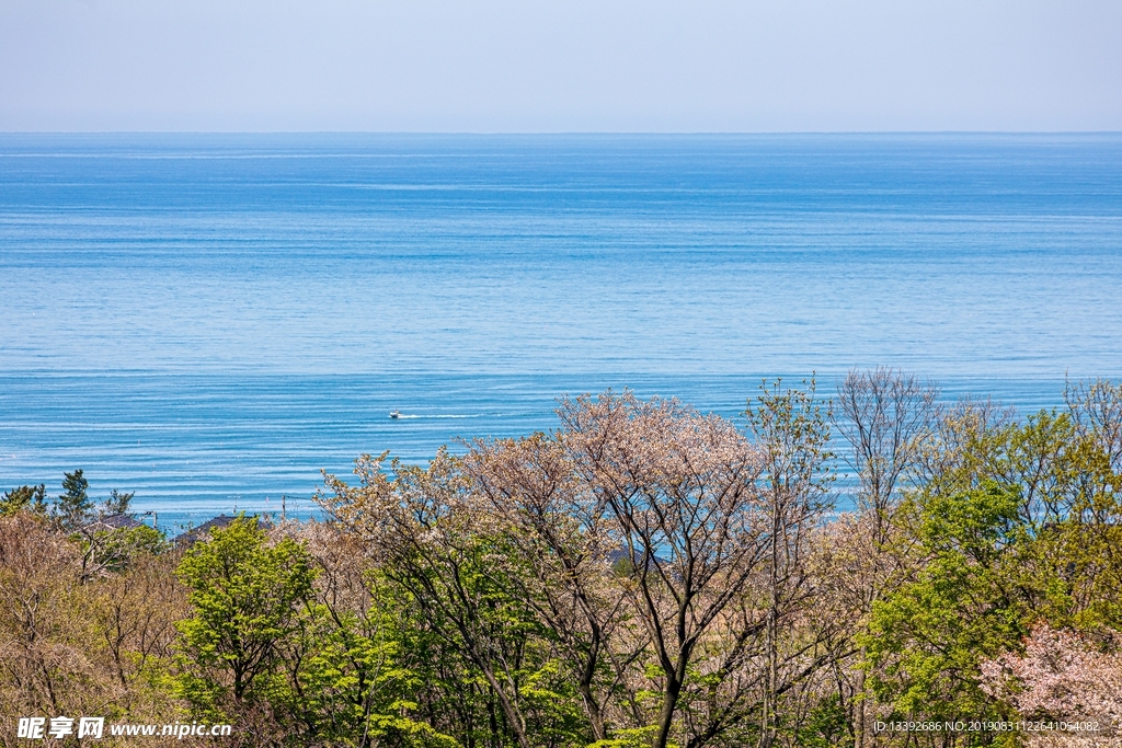 海岸线 大海 碧蓝 树