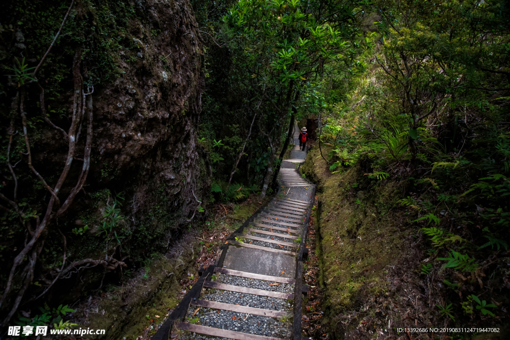 古道 山路 下山