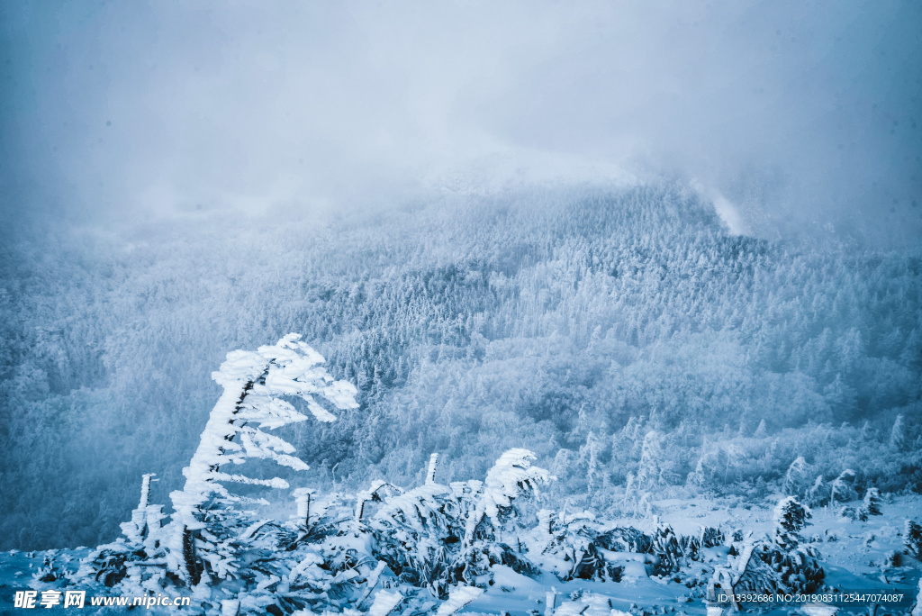 雪花 雪 结冰 山 攀登