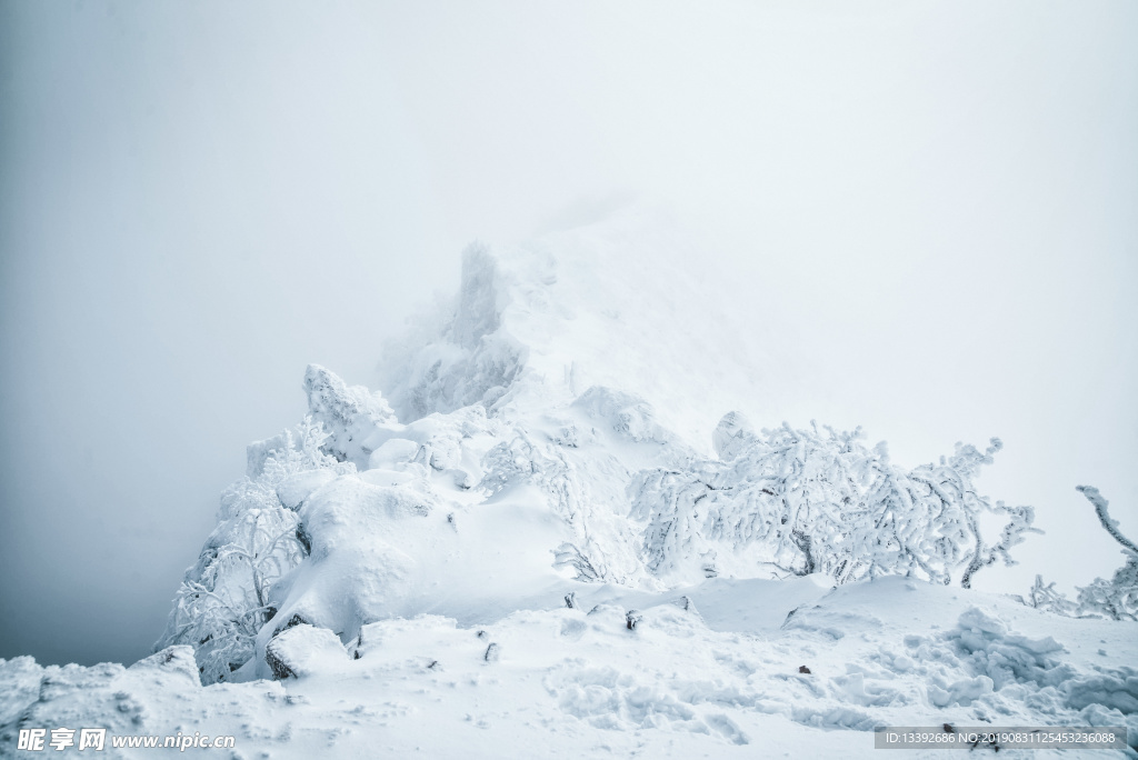 雪花 雪 结冰 云海 山峰