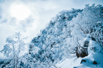 雪花 雪 结冰 云海 太阳