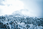 雪 雪峰 冰天雪地 山 山峰