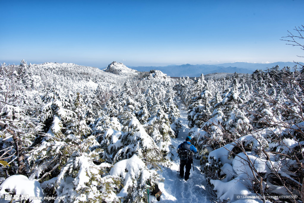 积雪 山顶 冰天雪地 阳光