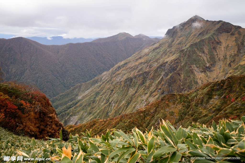 山 山峰 山脉 云海 枯草