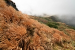 山 山峰 山脉 云海 枯草