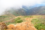 山 山峰 山脉 云海 枯草