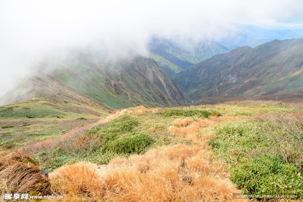 山 山峰 山脉 云海 枯草