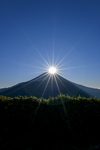 阳光 光芒 太阳 山峰