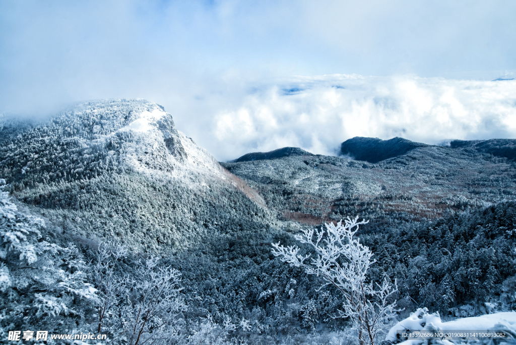 冬季 云海 积雪 山林