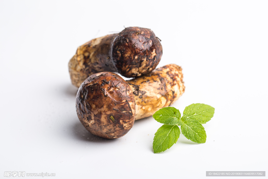 新鲜松茸