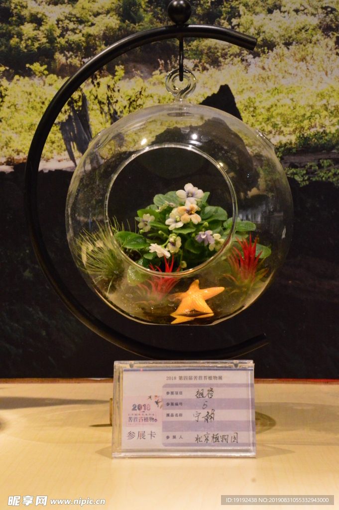 温室花卉