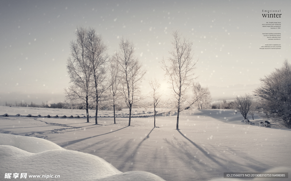 唯美冬季雪景背景