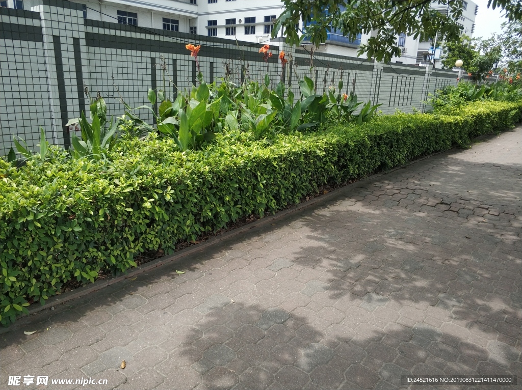 草堆素材