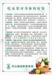 素食文化