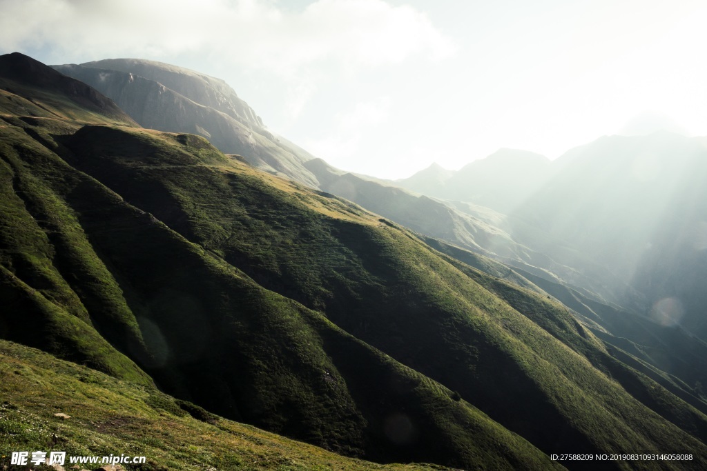 山