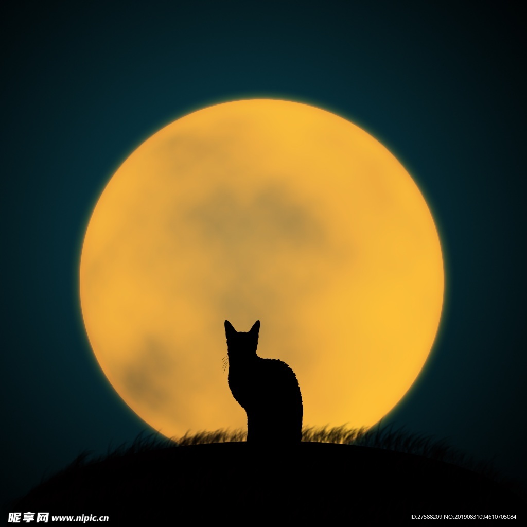 猫