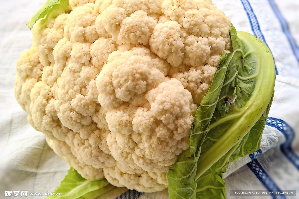 菜花
