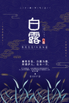 白露节气广告